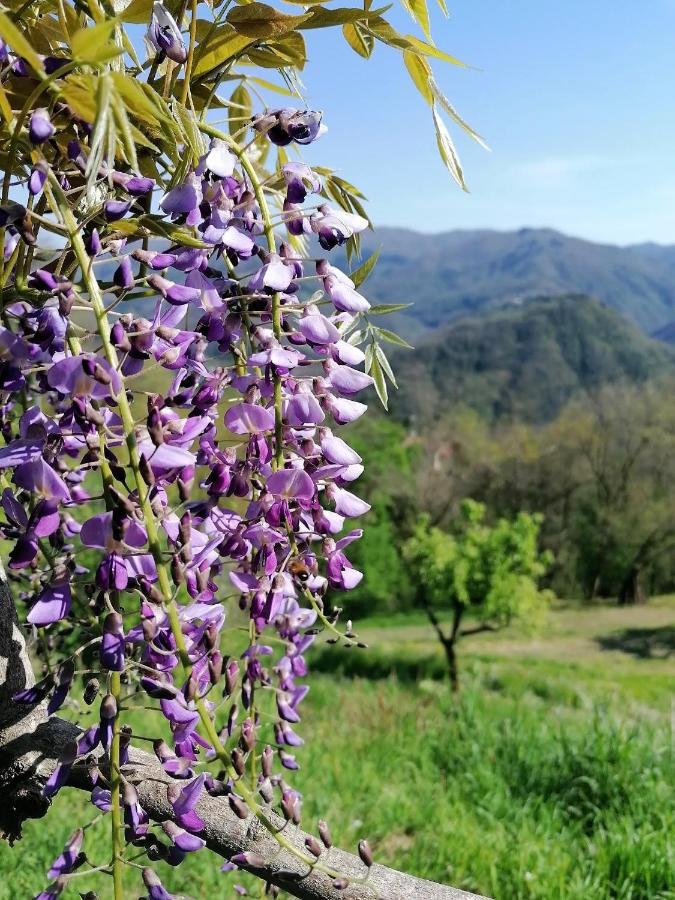 La Casa In Valli 35 バーニ・ディ・ルッカ エクステリア 写真