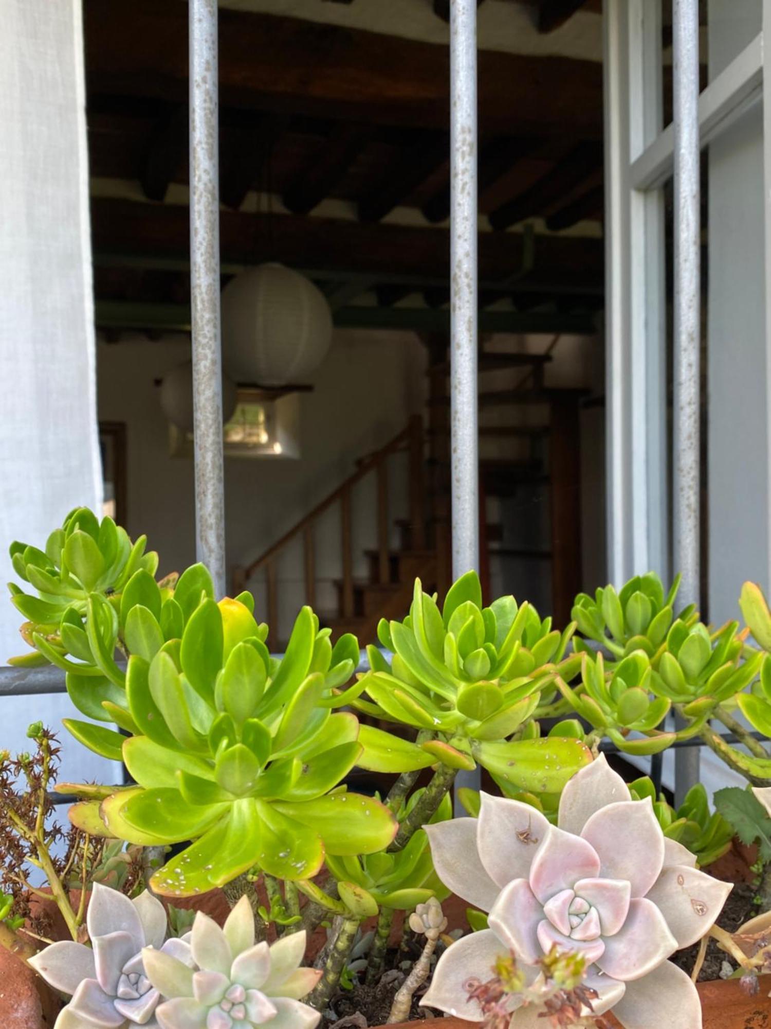 La Casa In Valli 35 バーニ・ディ・ルッカ エクステリア 写真